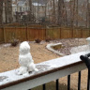 Meet your Posher, Sheila